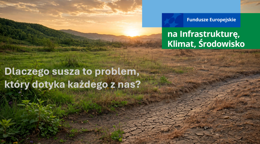 grafika Średnie Małe
